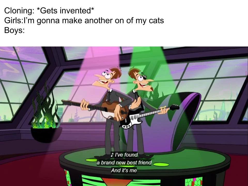Phineas And Ferb Memes 12