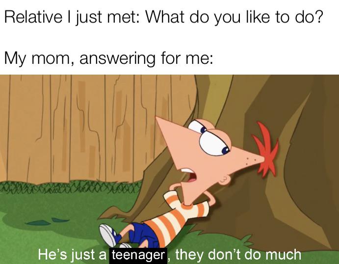Phineas And Ferb Memes 17