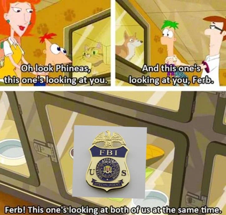 Phineas And Ferb Memes 2