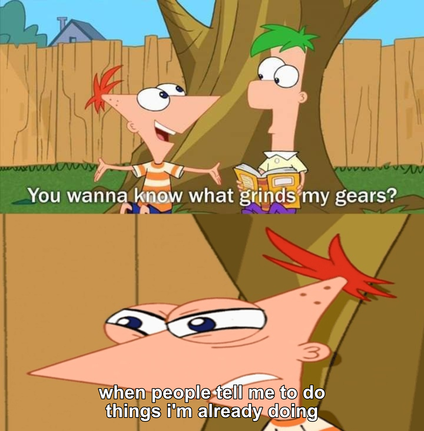 Phineas And Ferb Memes 4