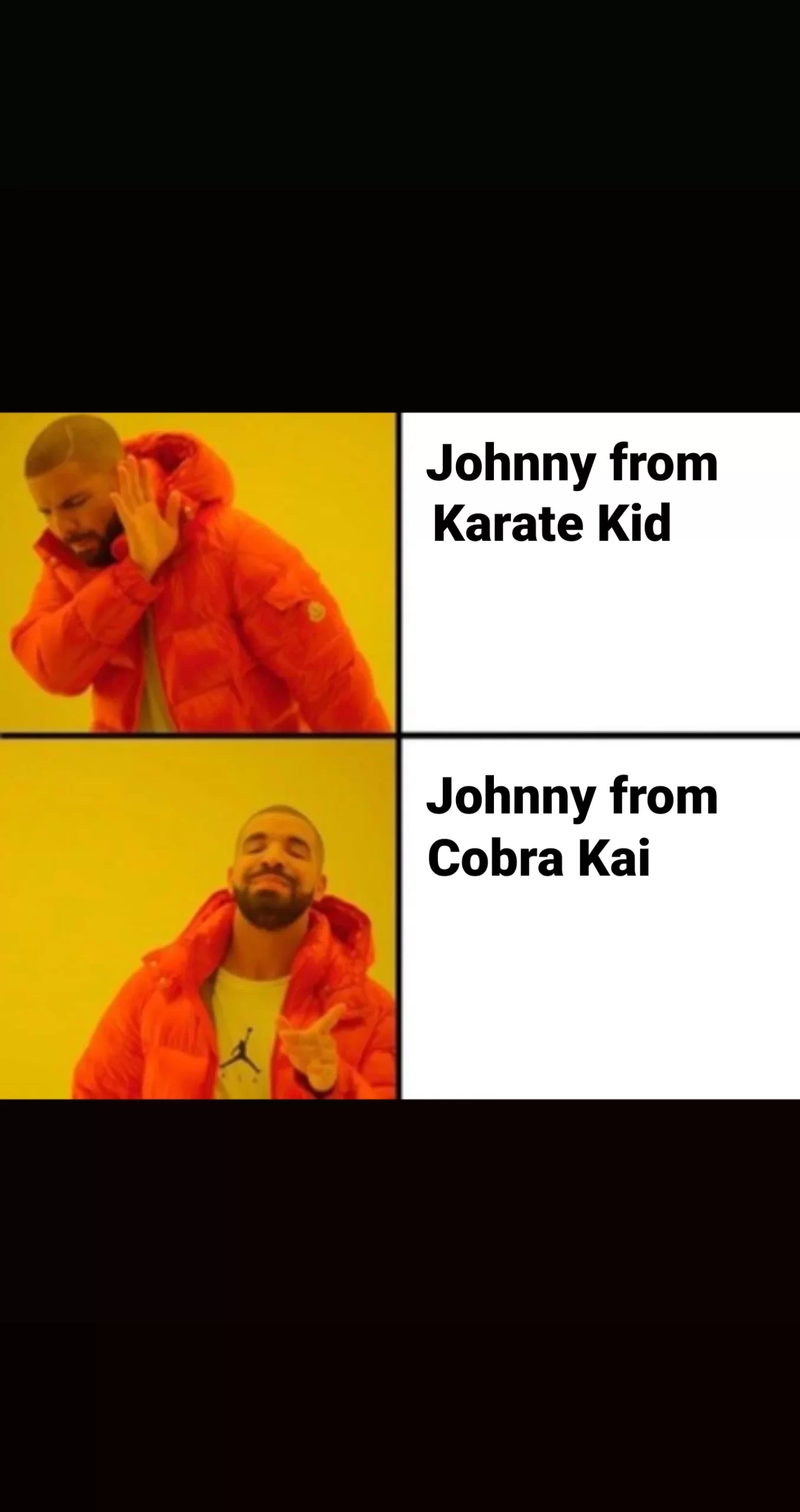 Series Cobra Kai Memes 8