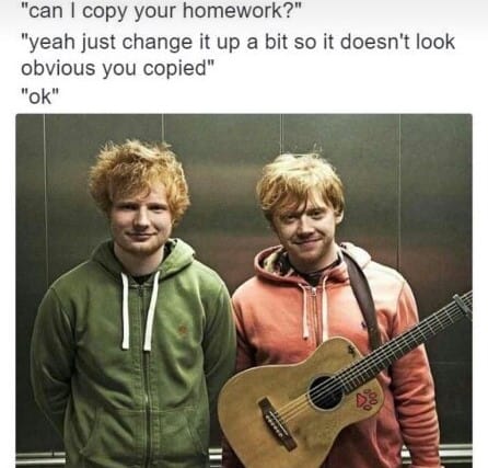 Can I Copy Your Homework Ed Sheeran Memes