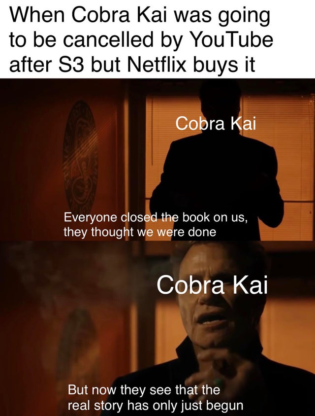 Cobra Kai Meme 4