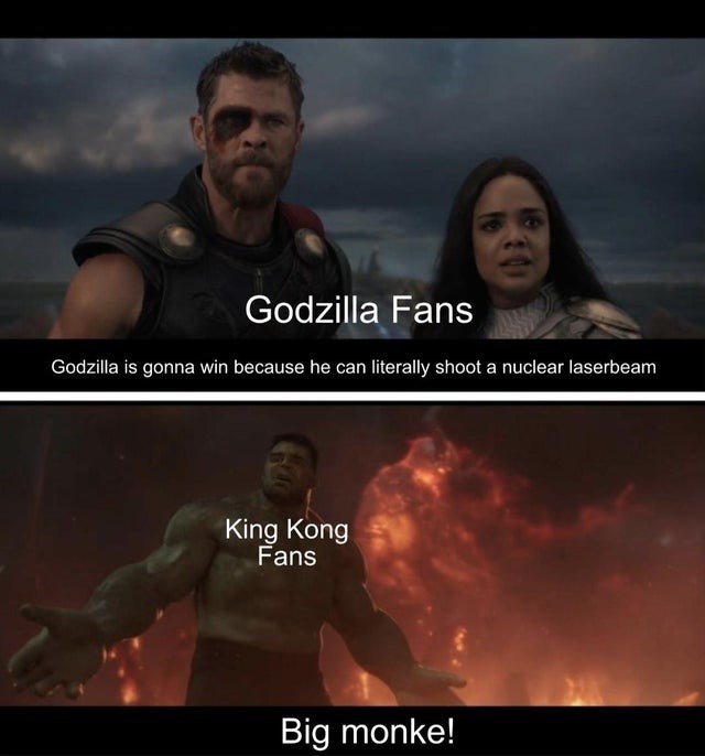 Funny Godzilla Memes 19