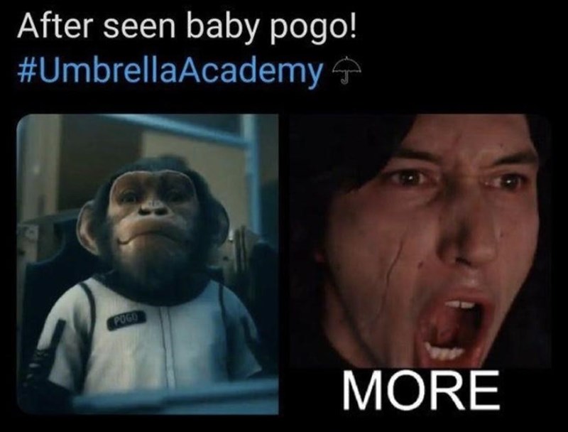 Best Umbrella Academy Memes8