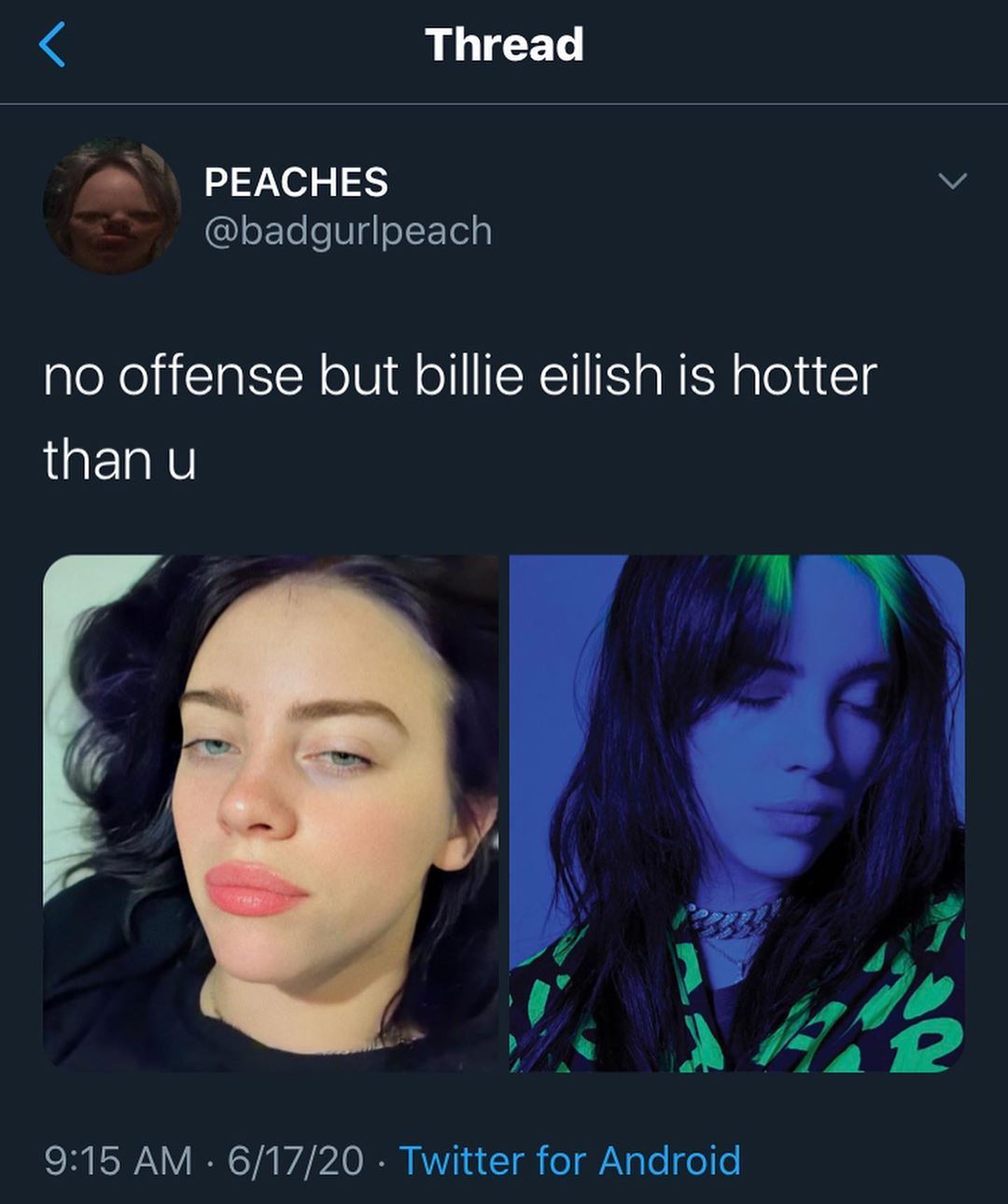 Billie Eilish Memes1