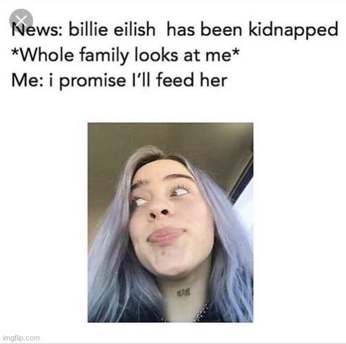 Billie Eilish Memes10
