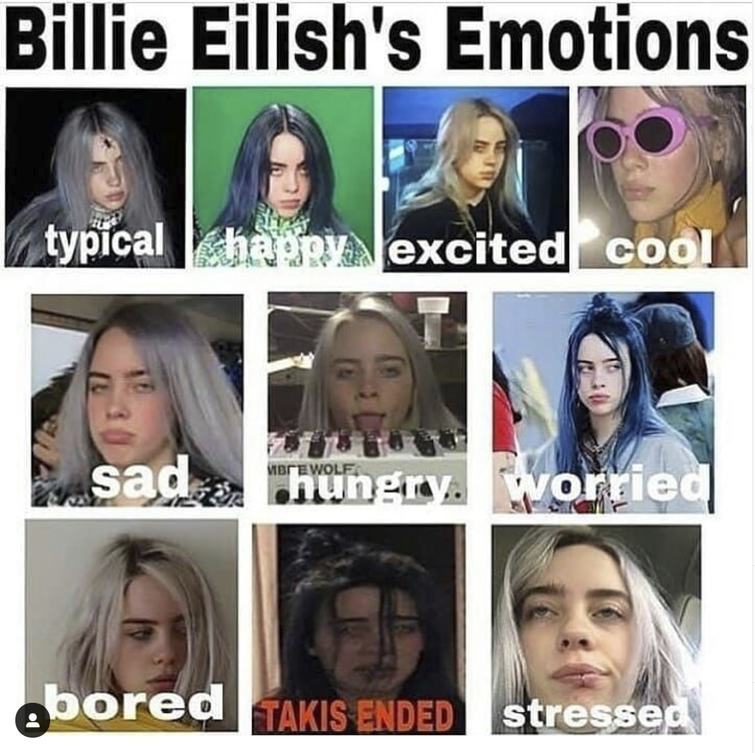 Billie Eilish Memes9