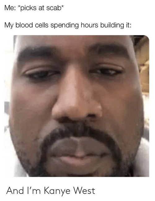 Funny Kanye West Memes4