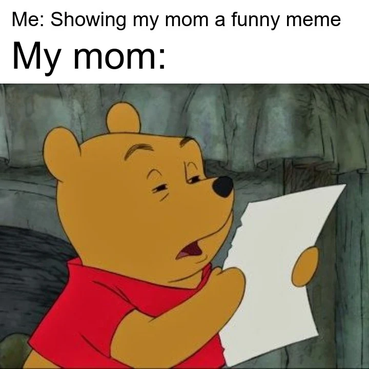 Funny Pooh Memes3