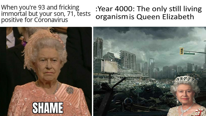 Queen Elizabeth Memes15