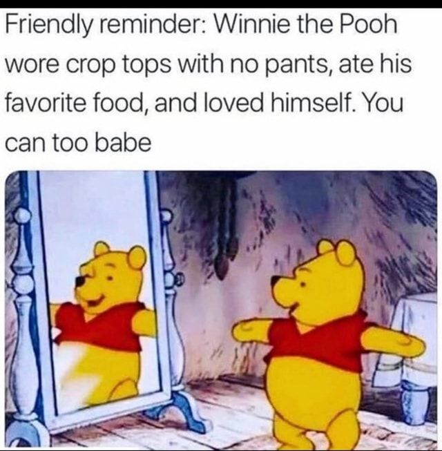 Winnie The Pooh Memes4