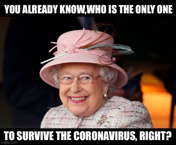 Best Queen Elizabeth Memes7
