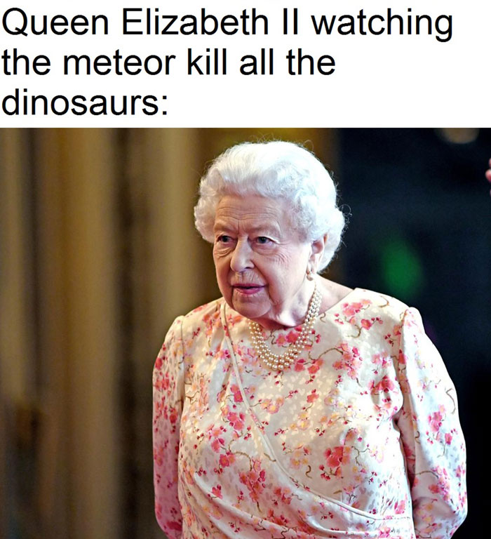 Funny Queen Elizabeth Memes10