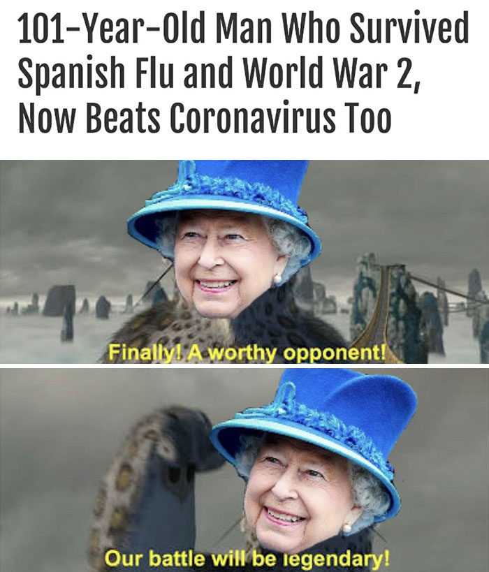 Funny Queen Elizabeth Memes11