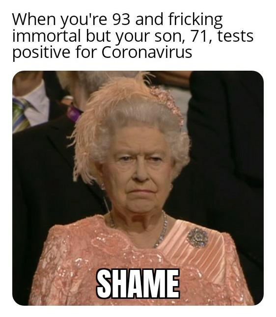 Funny Queen Elizabeth Memes14
