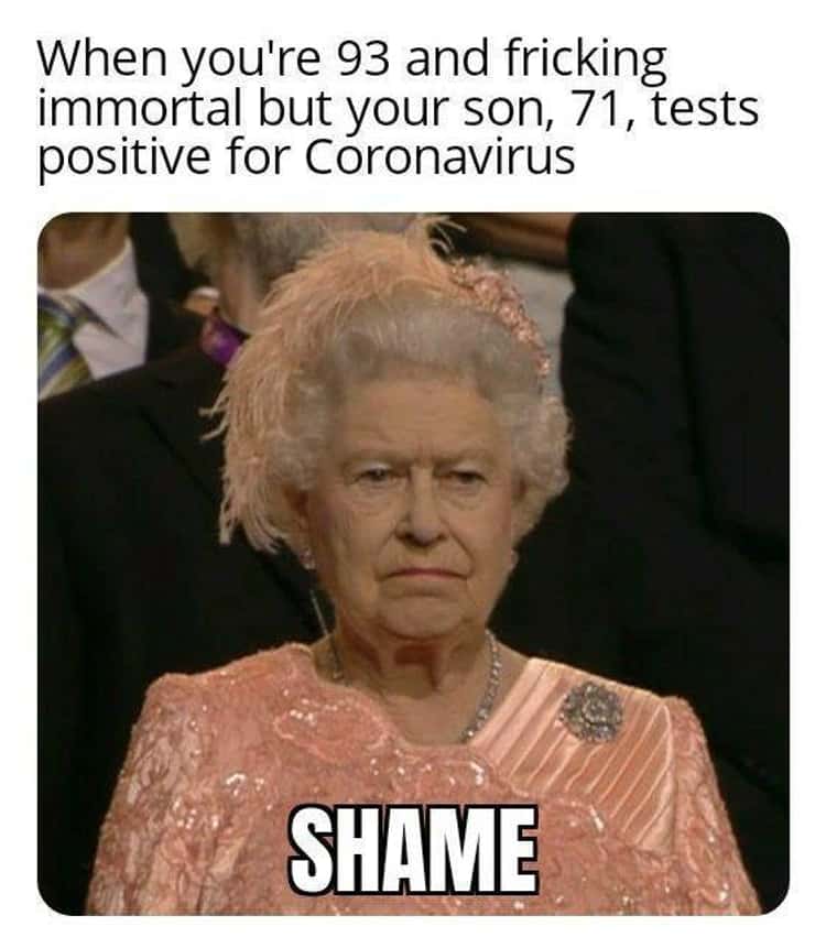 Funny Queen Elizabeth Memes18